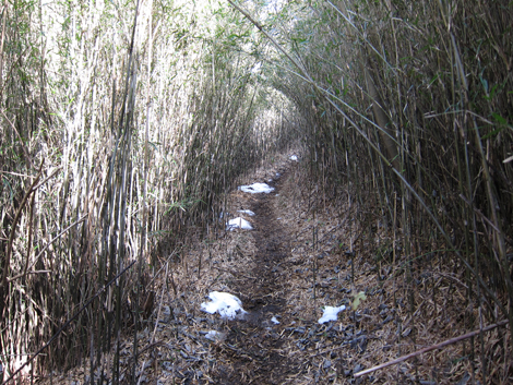 20200122hike (148)